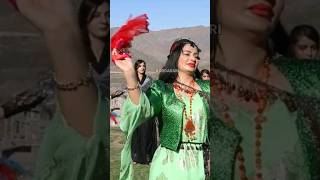 halparke نه وروز مه ریوان هلپرکه Kurdish dance