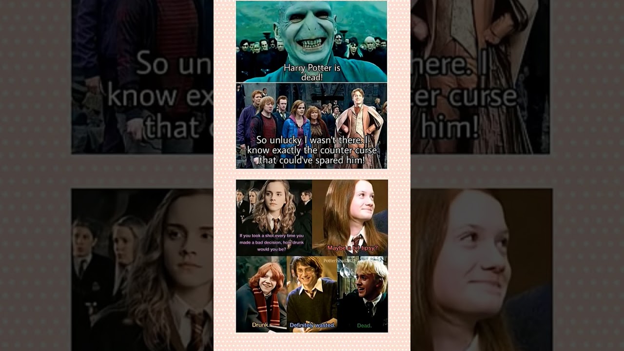 Hilarious Harry Potter Memes That WillMake You Cry LaughingSavage Moments 