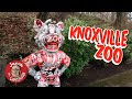 Knoxville Zoo - Mold-A-Matic Hunt!