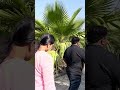Spend a day at the Resort