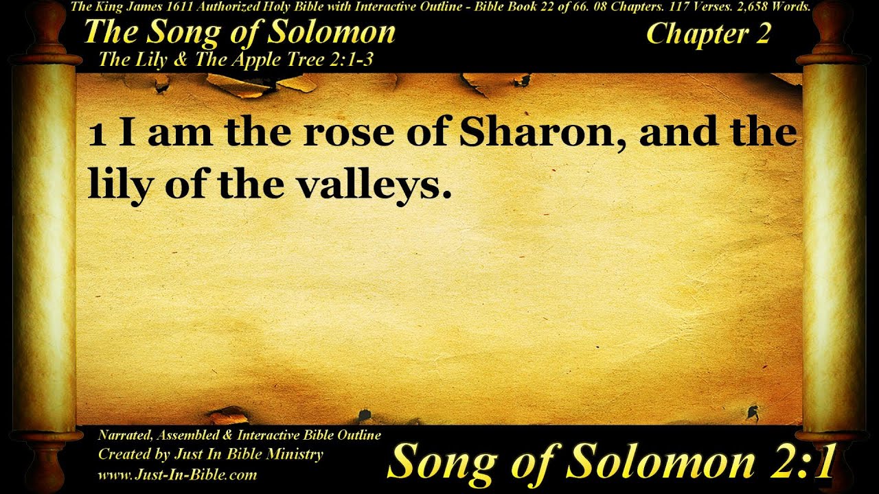 Bible book 22 the song of solomon chapter 2 the holy bible kjv
