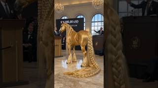 #cavalo #animal #beleza #curiosidades