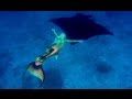 Mermaid Melissa Swims With Giant Manta Rays In Australia Underwater