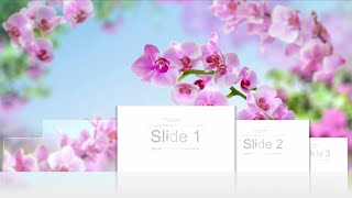 Interactive presentation template Flowers / Интерактивный шаблон презентации Цветы
