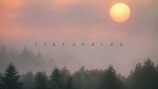 Stayunseen - Again and again (1hour loop)