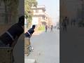  🇵🇰🏏🤟👍💪🥰Galli, cricket Vlog❤️✌️