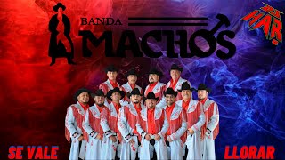 BANDA MACHOS PURAS RANCHERITAS LLEGADORAS Y SE VALE LLORAR SOLO EXITOS