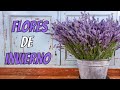 FLORES DE INVIERNO | 10 plantas de EXTERIOR RESISTENTES al FRÍO y a la SOMBRA