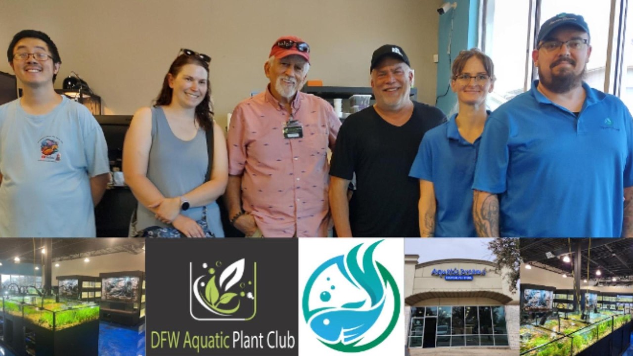 DFWAPC plant swap at Aquatic Dreams 08 23 26