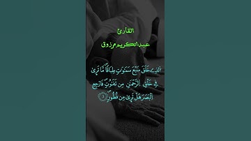 سورة الملك  تلاوة هادئة