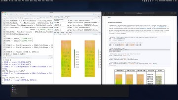 FIELDimageR: Estimate plant height using the canopy height model (CHM) - Software R
