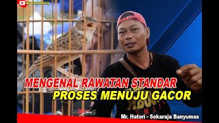 Edisi Branjangan  Rawatan Standar Burung Branjangan Ii Proses Menuju Gacor