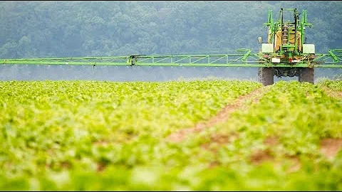 Wann wird in Deutschland Glyphosat verboten?