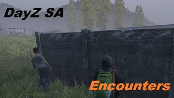 Weird Encounter | DayZ Standalone