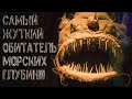 Рыба удильщик! Обитатель морских глубин! МОРСКОЙ ЧЁРТ!!!