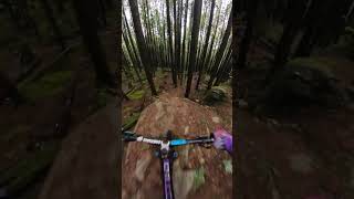 Tricky Roll to Drop  #bike #mtb  #mtbbike