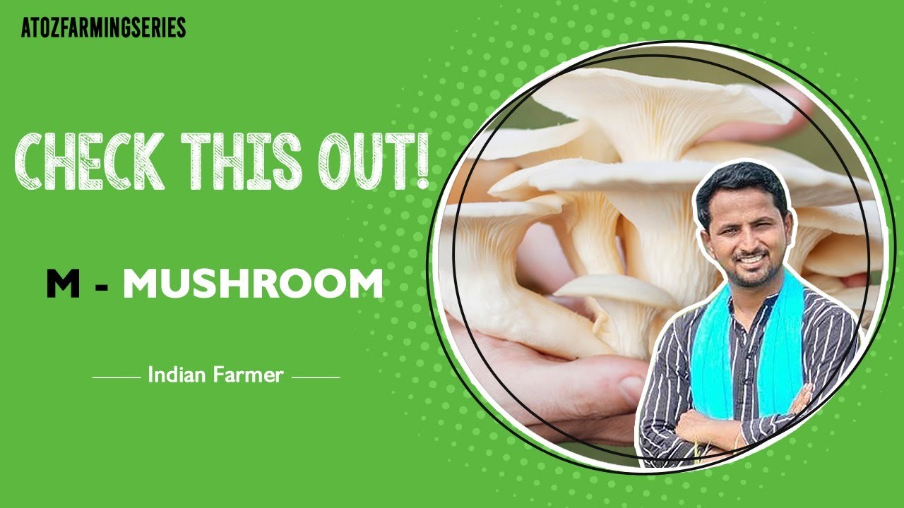 Dosto Mushroom veg hai ya nonveg? | Indian Farmer | #Shorts