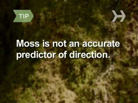 How to Tell Directions without a Compass