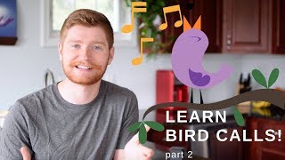 Learning Bird Calls! Common Songs You Will Hear Outside (Bird Watching)