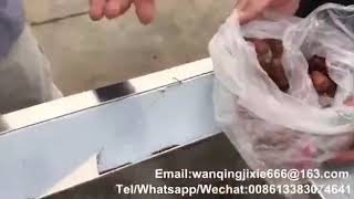 Date pitting machine