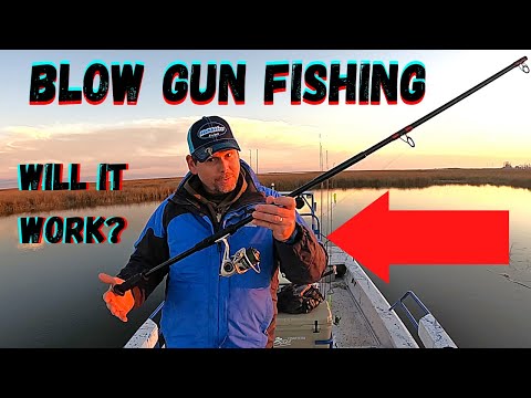 BLOW GUN FISHING*** WILL IT WORK?** 