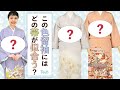 【帯選び】人気色の色留袖にプロが袋帯の合わせ方を解説