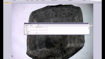 How to calibrate pixels in image pro insite 8 0