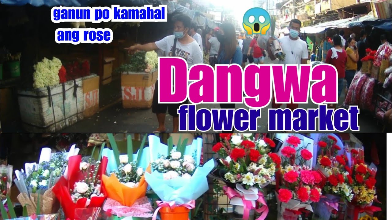 Dangwa Flower Market Update 2021 Sampaloc Manila Tonzbhe Youtube