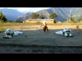 Jhamtse gatsal childrens community   students put on the tibetan lion dance