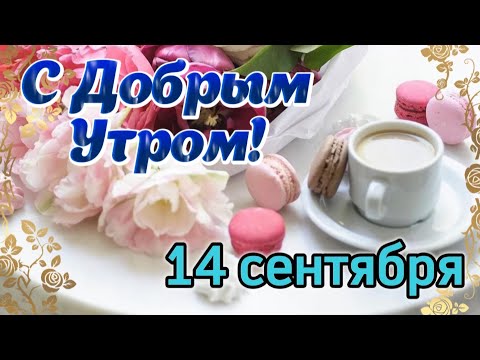 🪷 С Добрым Утром! ☕️  Шикарная музыкальная открытка с пожеланиями Доброго Утра! 🙏🕊