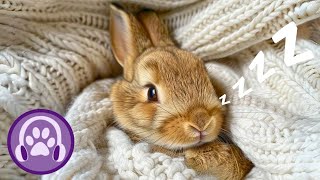 Music for Rabbits - Calming Lullabies for ANXIETY - SLEEP - BOREDOM 🐰💤 by PetTunes - Music for Pets 1,140 views 3 weeks ago 9 hours