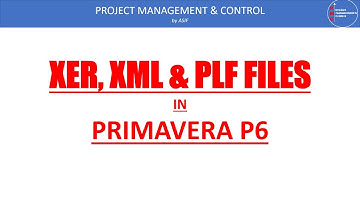 Export Project files & Layout in Primavera P6