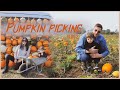 Pumpkin picking in Fordingbridge | VLOG 2