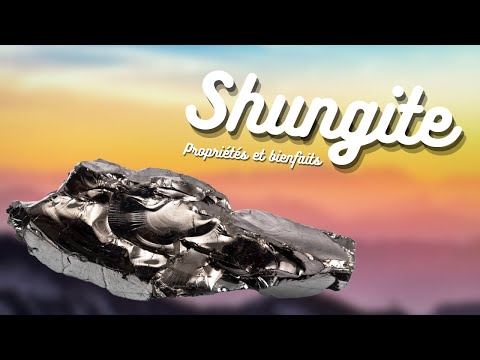 Vidéo: Propriétés Et Description De La Pierre De Shungite. Son Application