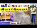 खेती में राख का सही उपयोग 🤑 बंपर पैदावार | Benifts of Ash in Agriculture | kheti me rakh ka upyog