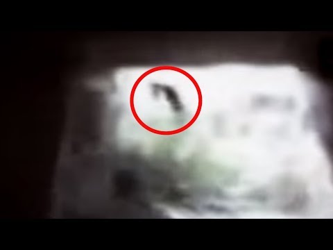 5 Witches Caught On Camera & Spotted In Real Life! #2