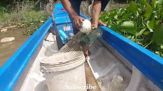 The Village Fishing at Lvea Em Districet Amazing - Man Catch Eel by Small Bamboo Cage in Flood