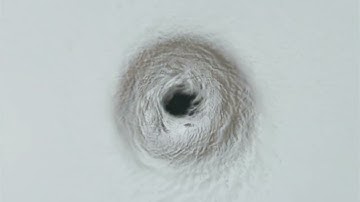 Unleashing the Fury Inside a Hurricane! #Hurricanes #WeatherEvents #NatureScience