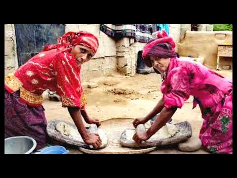 موروث جمل حسين الأصيل تهامة اليمن مونتاج محمد الهزازي