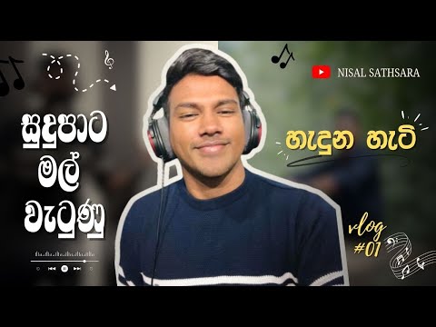 සුදු පාට මල් වැටුණු සින්දුව හැටි | Sudu Paata Mal Watunu Cover Song (Vlog #01)