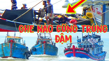 🔴 Nhìn Cảnh Pha Súc Cà Ná || Giã Cào Lagi Về Cảng Đầy Ấp Cá Phê Lắm Luôn