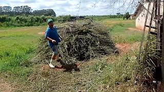 mano da roça e comédia quer fazer vídeo mais não sabe filmar 🤬