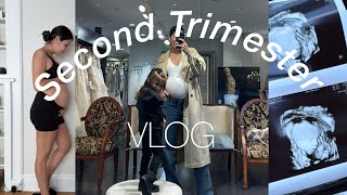 Second Trimester Vlog! (How I’m feeling, belly update, 20 week anatomy scan)