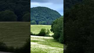 Hailuo Video უნიკალური საინვესტიციო შესაძლე 420310030732865539