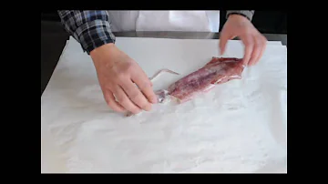 Wie mache ich Tintenfisch sauber?