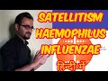 Satellitism test (Haemophilus influenzae)