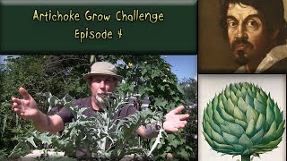 Artichoke Grow Challenge | Episode 4