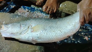 Great Big Koral Vetki Fish cutting skills Bangladeshi Expert || bangladesh fish market