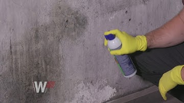 Mold Removal With Concrobium