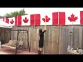 Woman fined after hanging Canadian flags on her backyard fence